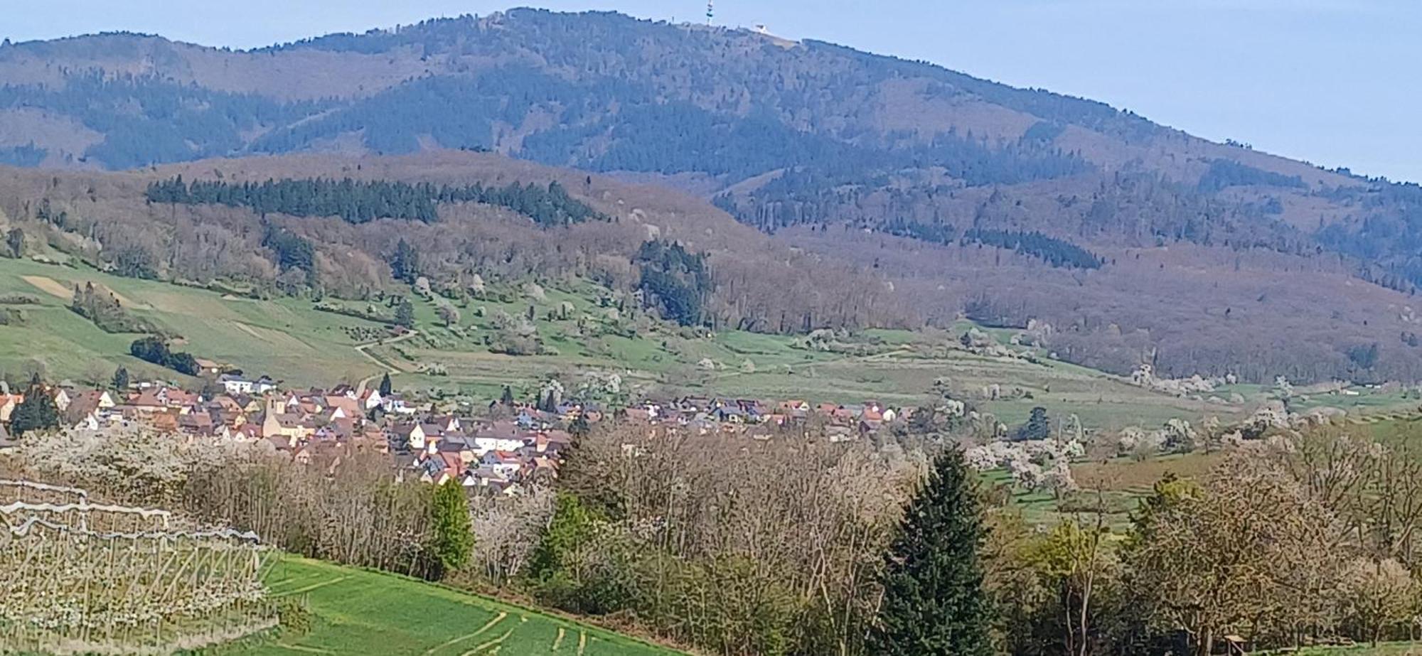 Ferienwohnung Am Blumengaessle Mullheim  Kültér fotó