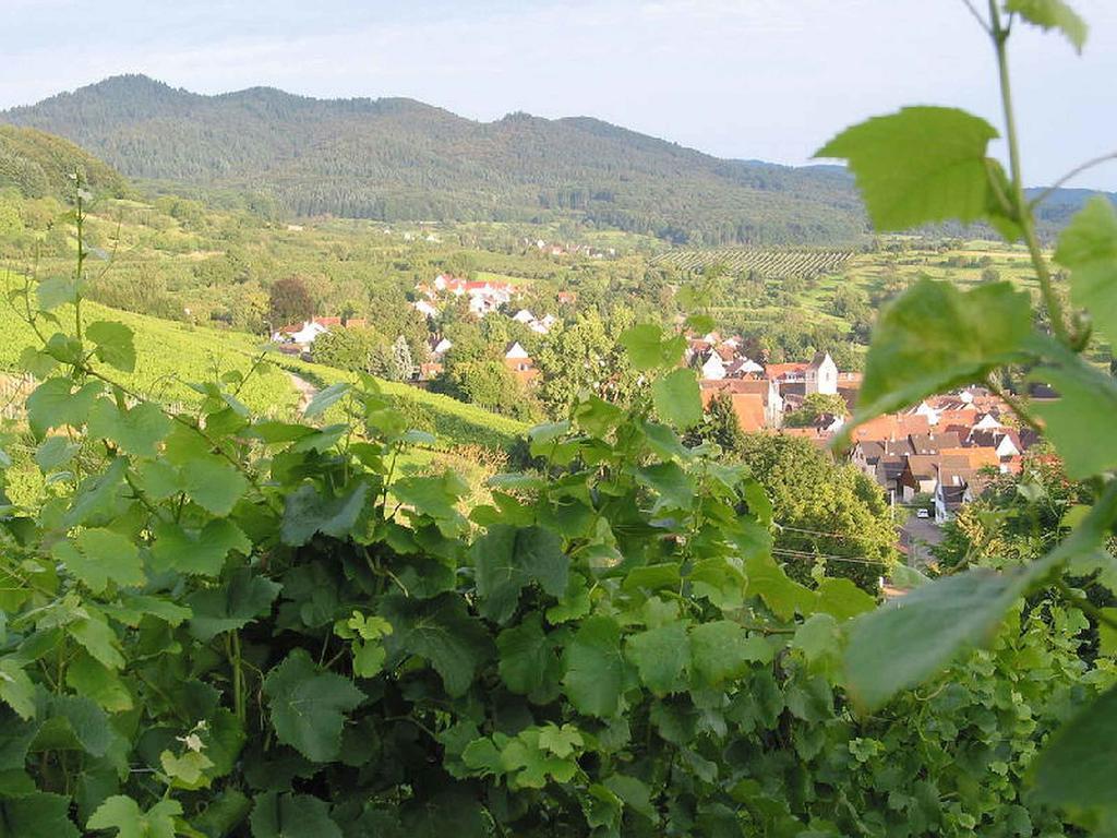 Ferienwohnung Am Blumengaessle Mullheim  Kültér fotó