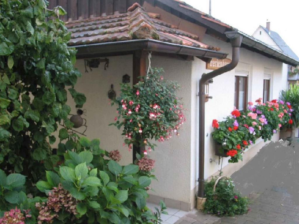 Ferienwohnung Am Blumengaessle Mullheim  Kültér fotó